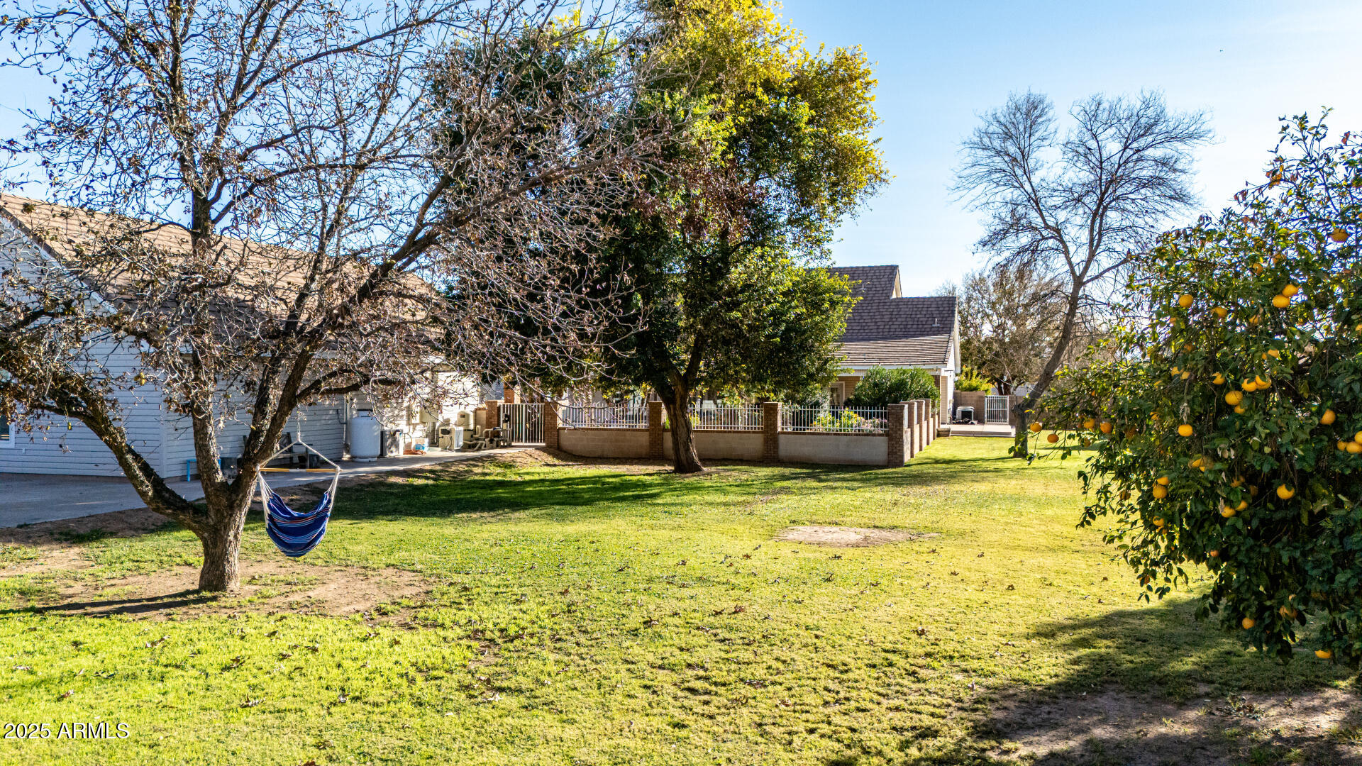 2552 East Ridgewood Lane Gilbert, AZ 85298 - Photo 71 of 80 a view of a yard with an trees