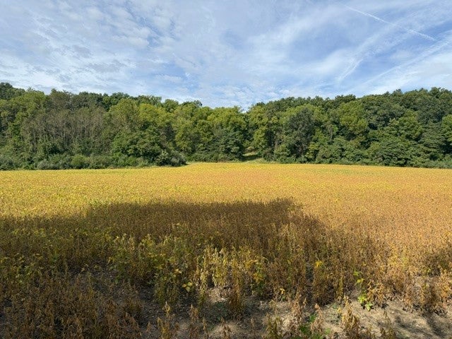 19101 Harrison Street Road Charleston, IL 61920 - Photo 50 of 69 Gallery Image 50