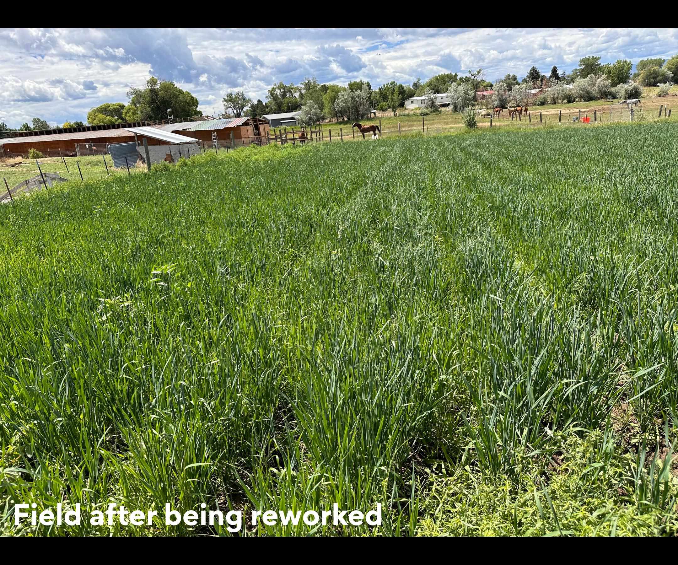403 6600th Road Montrose, CO 81401 - Photo 27 of 28 Gallery Image 27