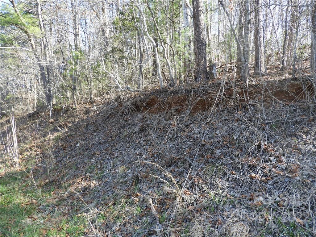 0 Bishop Lane, Unit 2 Mill Spring, NC 28756 - Photo 2 of 8 Gallery Image 2
