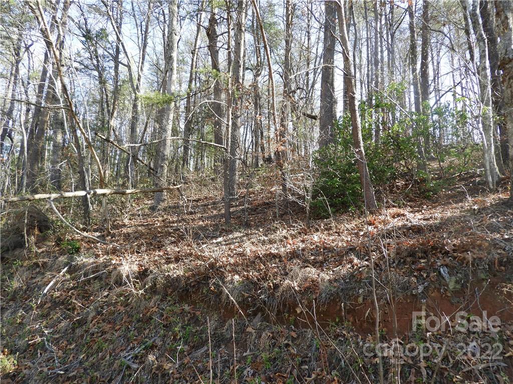 0 Bishop Lane, Unit 2 Mill Spring, NC 28756 - Photo 4 of 8 Gallery Image 4