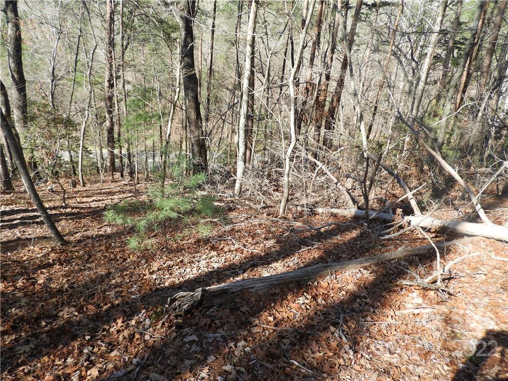 0 Bishop Lane, Unit 2 Mill Spring, NC 28756 - Photo 6 of 8 Gallery Image 6