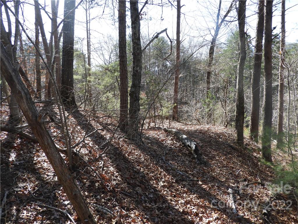 0 Bishop Lane, Unit 2 Mill Spring, NC 28756 - Photo 7 of 8 Gallery Image 7