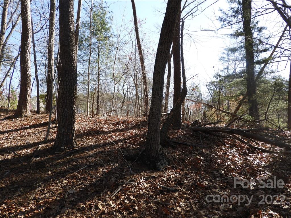 0 Bishop Lane, Unit 2 Mill Spring, NC 28756 - Photo 8 of 8 Gallery Image 8