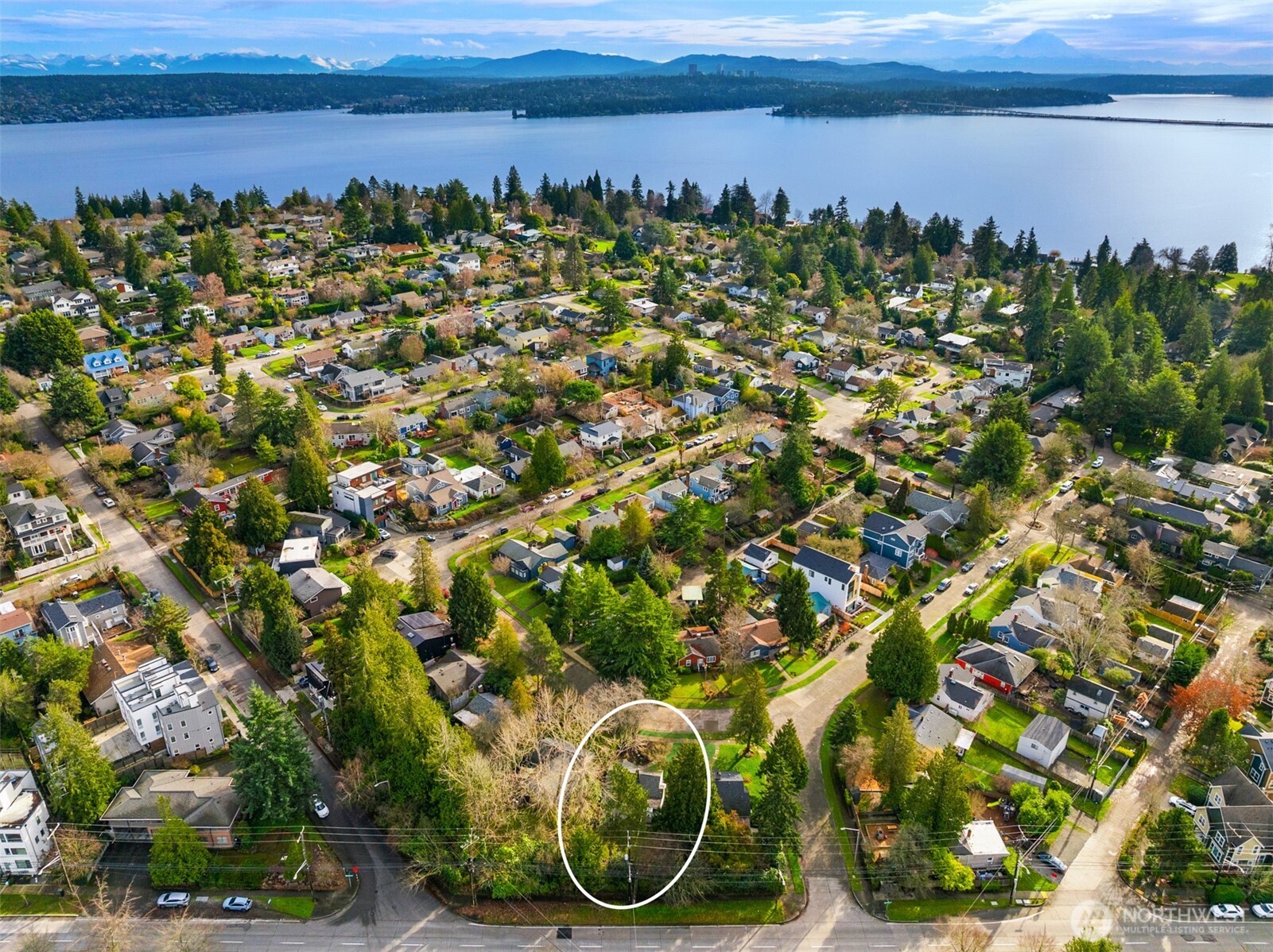 5606 Northeast 59th Street Seattle, WA 98105 - Photo 26 of 28 a view of a garden with an ocean