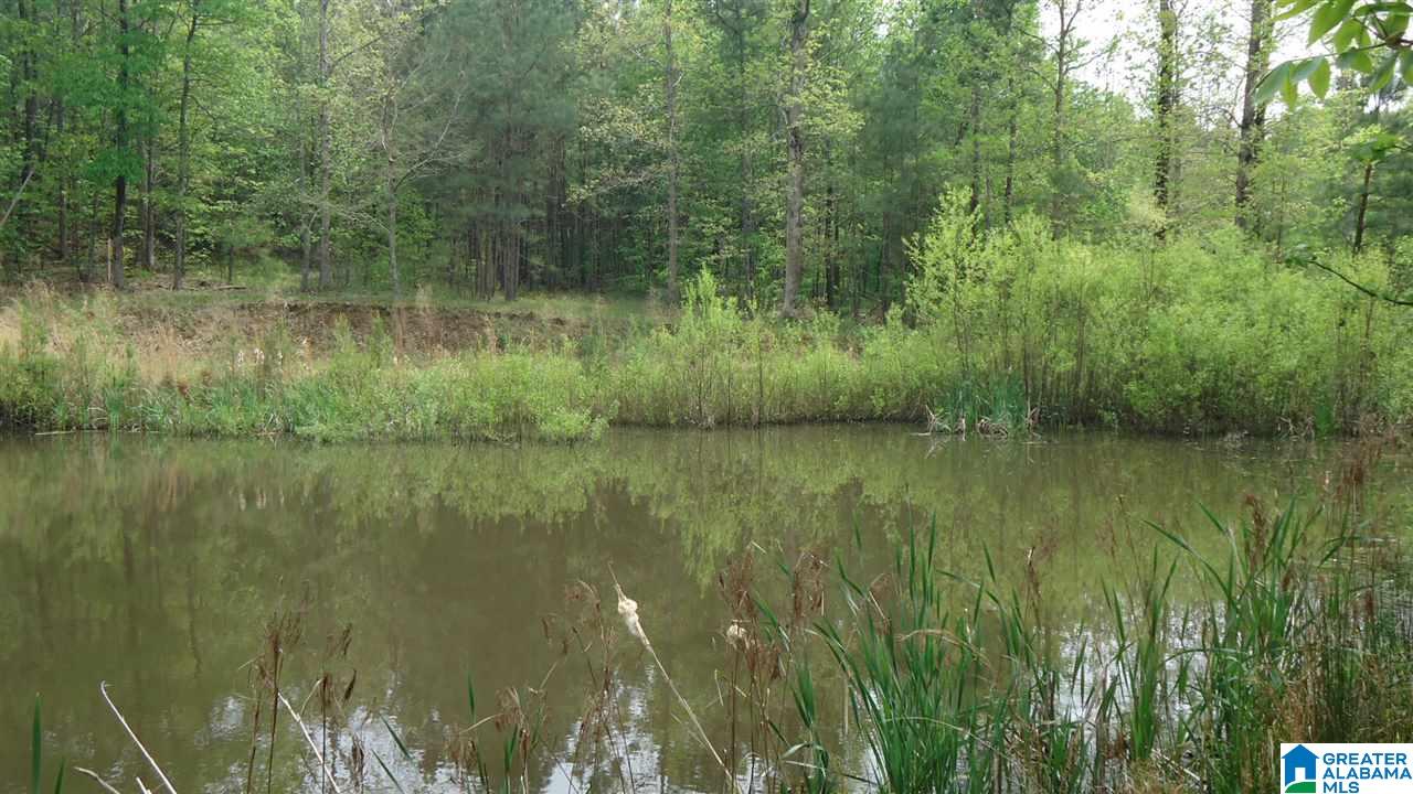 0 Mudd Street Ohatchee, AL 36271 - Photo 7 of 20