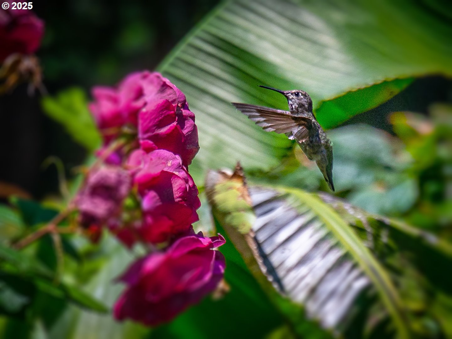 2393 Southwest Park Place, Unit 113 Portland, OR 97205 - Photo 46 of 46