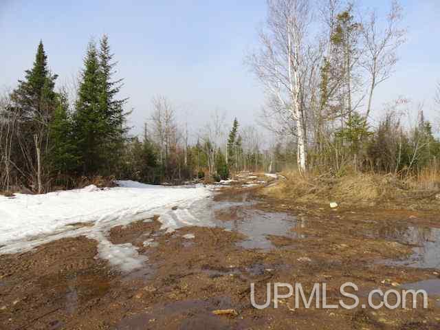Diffin Grade Trenary, MI 49891 - Photo 8 of 9 Gallery Image 8