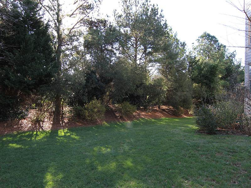 12308 Canolder Street Raleigh, NC 27614 - Photo 24 of 25 Lush landscaping offers privacy in the backyard. Backyard