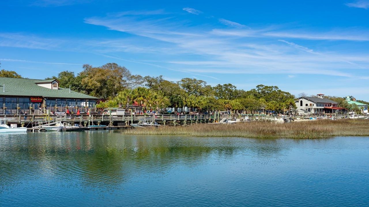 709 Plumage Court Myrtle Beach, SC 29588 - Photo 17 of 23