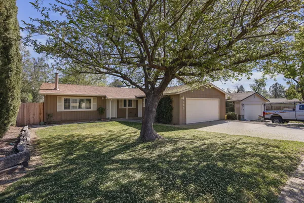 a house that has tree in front of it