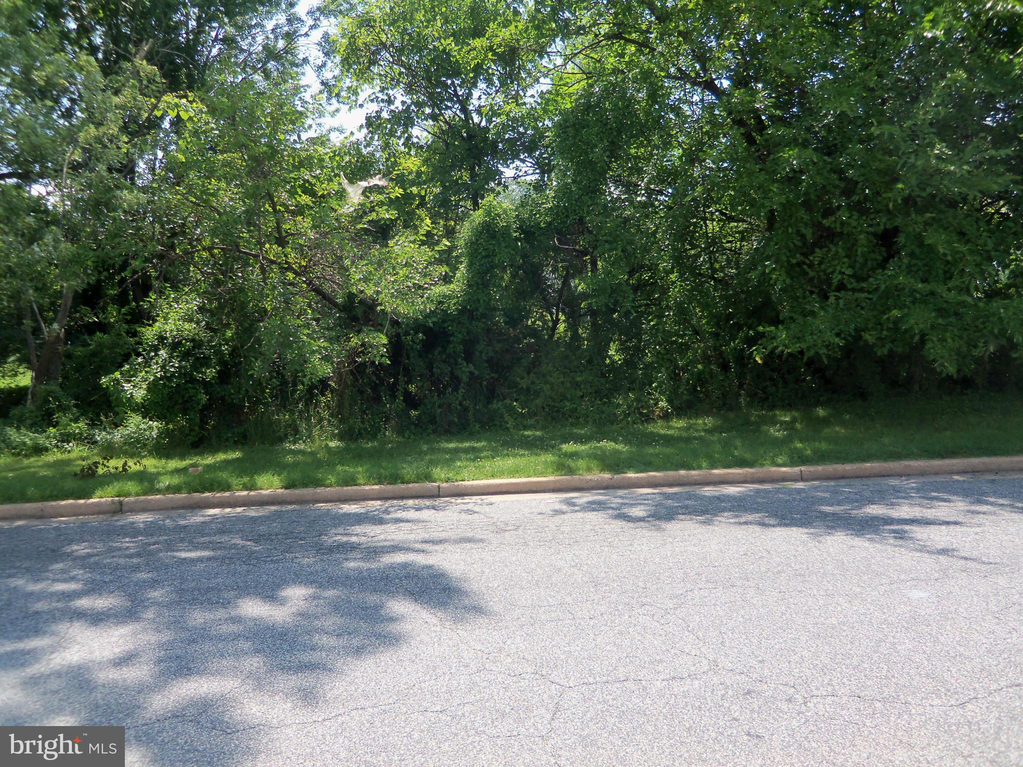 519 St Patrick Road Baltimore, MD 21206 - Photo 4 of 19 a view of a yard with a trees