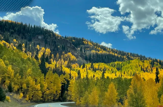 $836,000 | 446 Henry's Lake Drive, Chromo, CO 81128