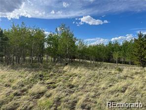 1599 Campfire Road Hartsel, CO 80449 - Photo 16 of 39 Gallery Image 16