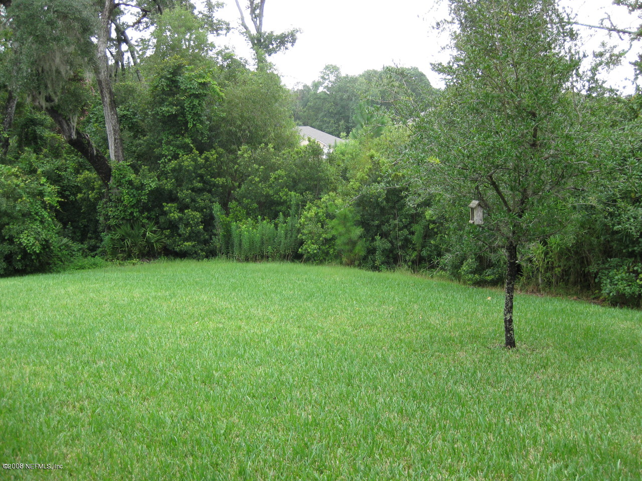 619 Spanish Wells Road Jacksonville, FL 32218 - Photo 4 of 11 back yard