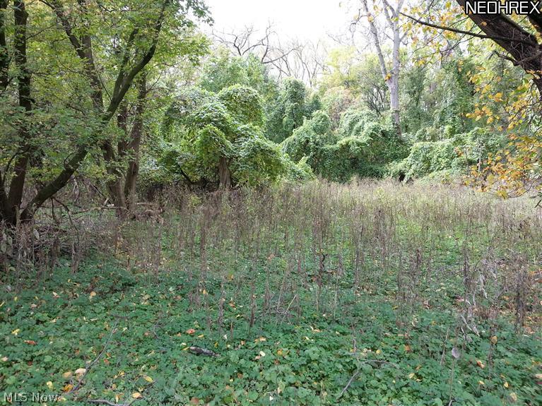 722 Rural Road Eastlake, OH 44095 - Photo 12 of 18 Gallery Image 12