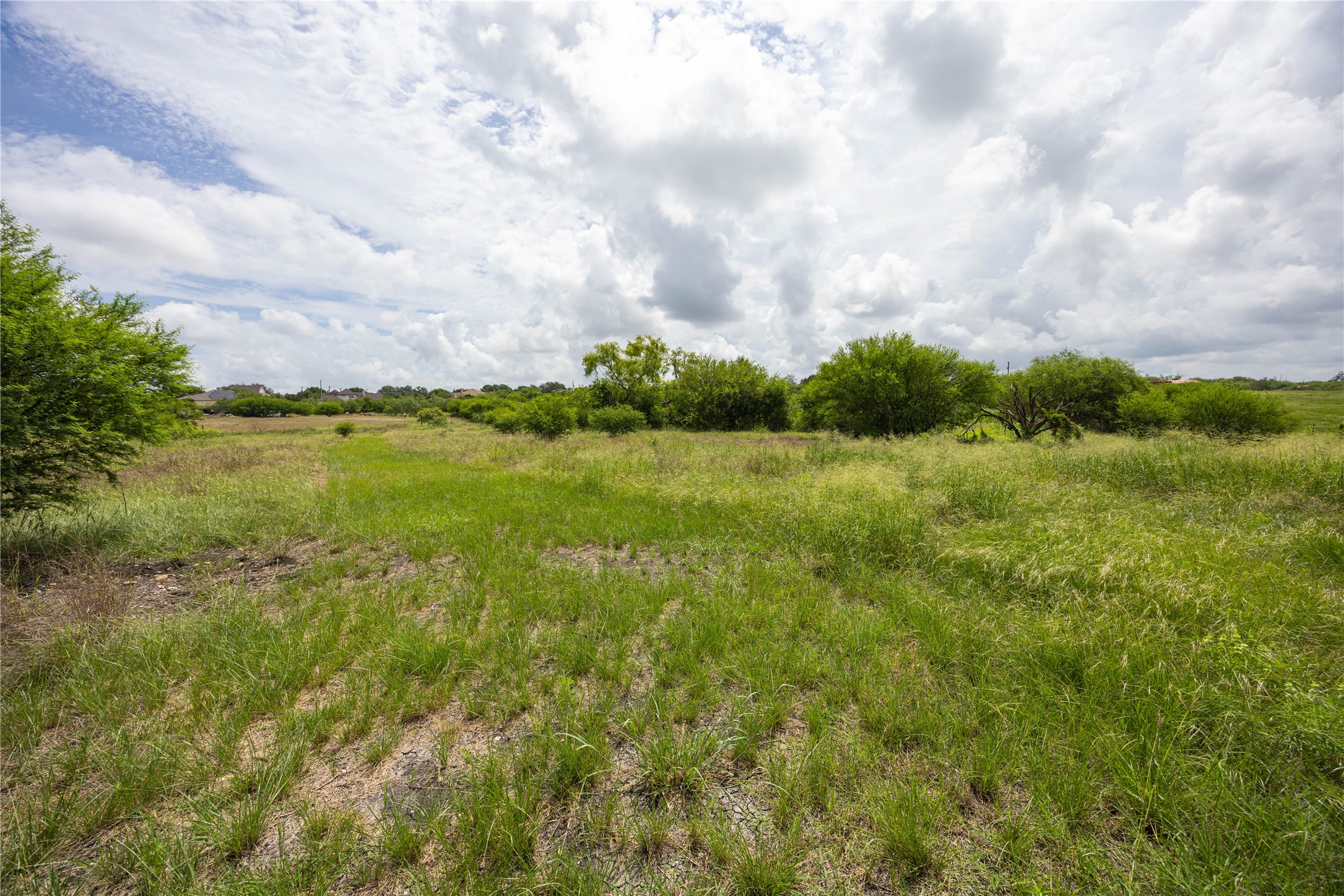 6868 Pfeil Road Schertz, TX 78154 - Photo 3 of 14 a view of an outdoor space and a yard