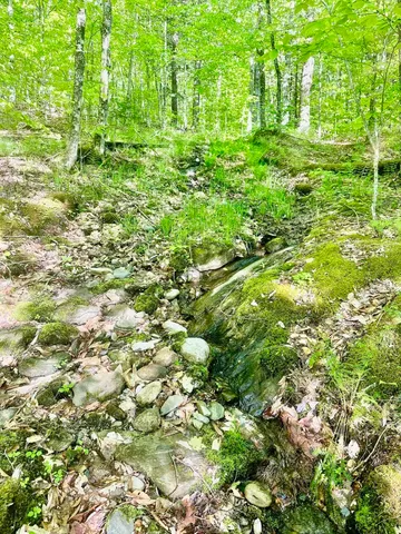 $230,000 | 3342 East Hill Road, Wolcott, VT 05680