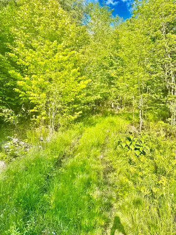 $230,000 | 3342 East Hill Road, Wolcott, VT 05680
