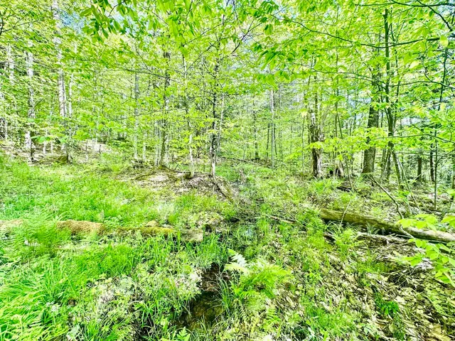 $230,000 | 3342 East Hill Road, Wolcott, VT 05680