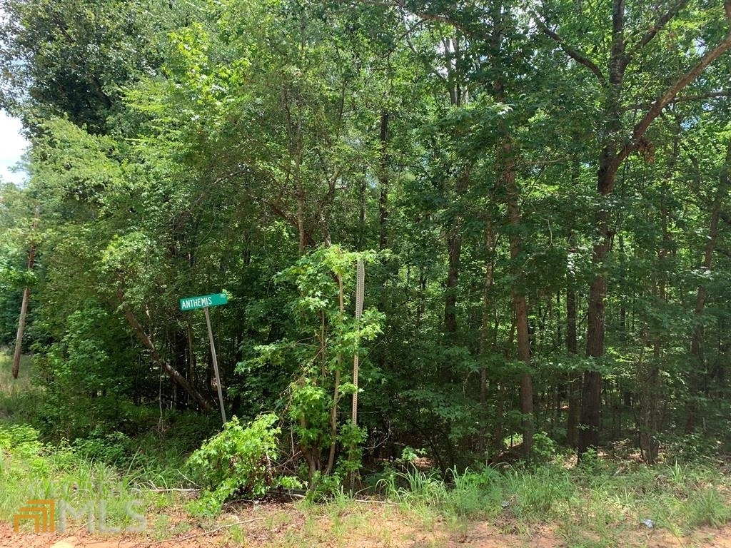 Lot 117 Old Ferry Road Sparta, GA 31087 - Photo 1 of 1 Gallery Image 1