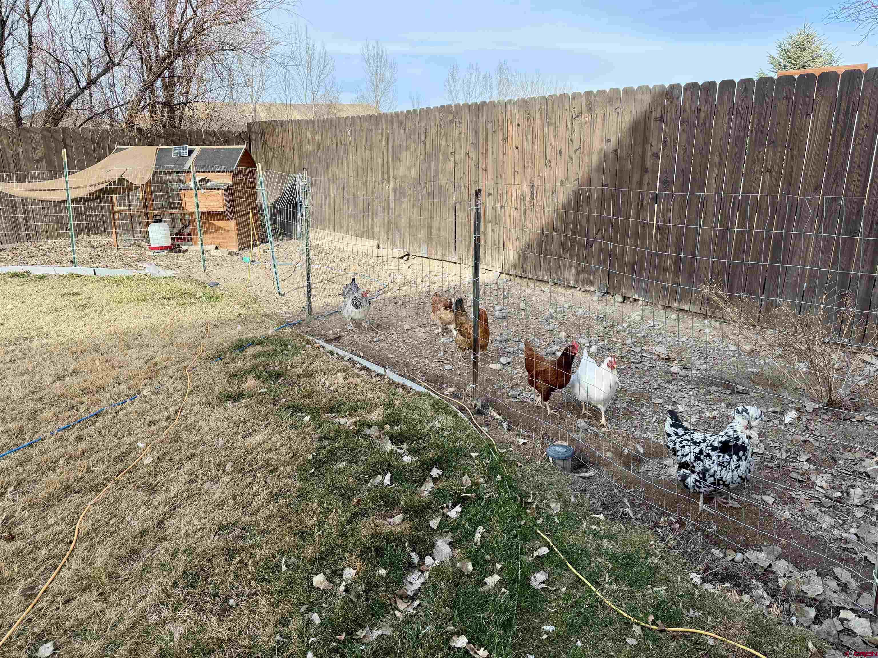 1519 Haystack Road Montrose, CO 81401 - Photo 39 of 39