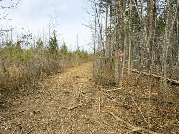 a view of a yard with a tree in the background