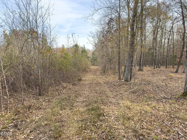 a view of a yard with trees in the background