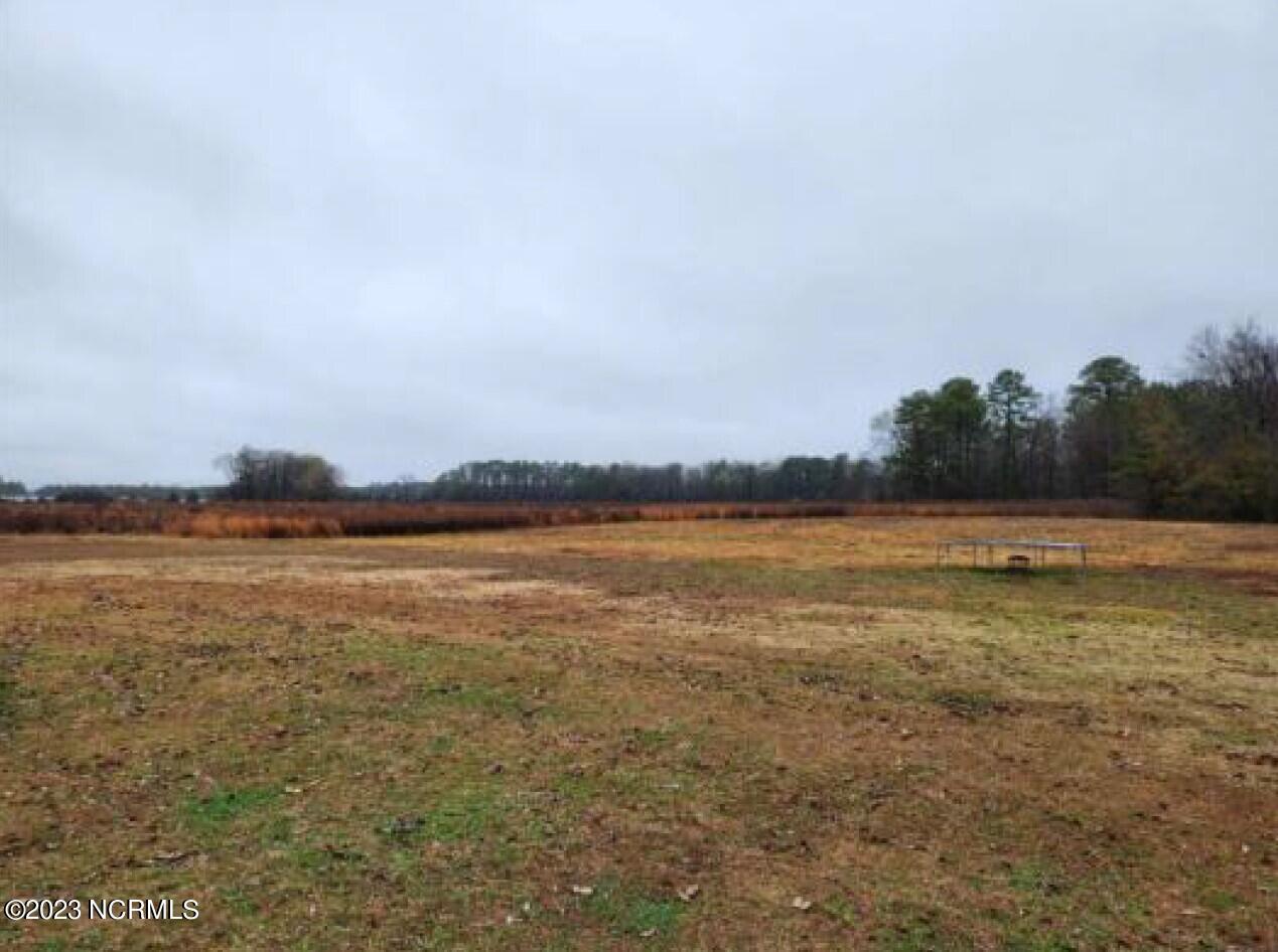2700 Biddle Road Dover, NC 28526 - Photo 9 of 11 ClearedLand