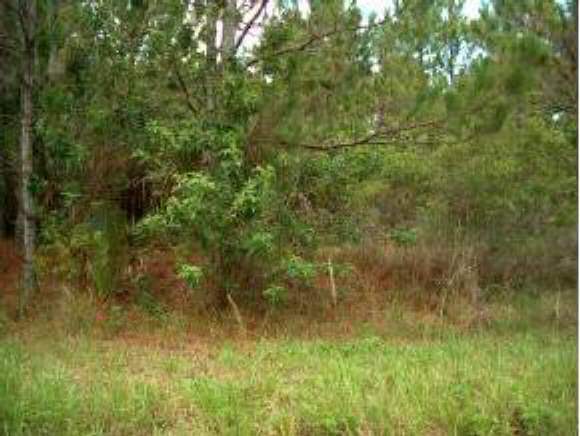 1054 Ray Road Southeast Palm Bay, FL 32909 - Photo 1 of 1 Primary Photo