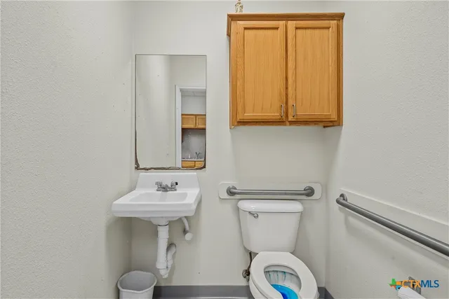 a bathroom with a sink a toilet and mirror