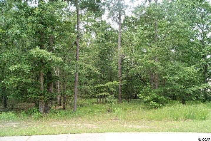 Lot 459 Chamberlin Road Myrtle Beach, SC 29588 - Photo 1 of 17 Gallery Image 1