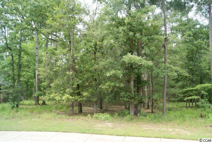 Lot 459 Chamberlin Road Myrtle Beach, SC 29588 - Photo 2 of 17 Gallery Image 2