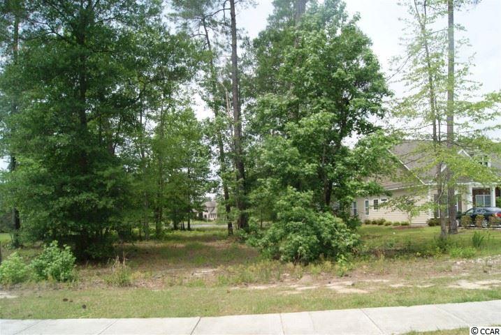 Lot 459 Chamberlin Road Myrtle Beach, SC 29588 - Photo 11 of 17 Gallery Image 11