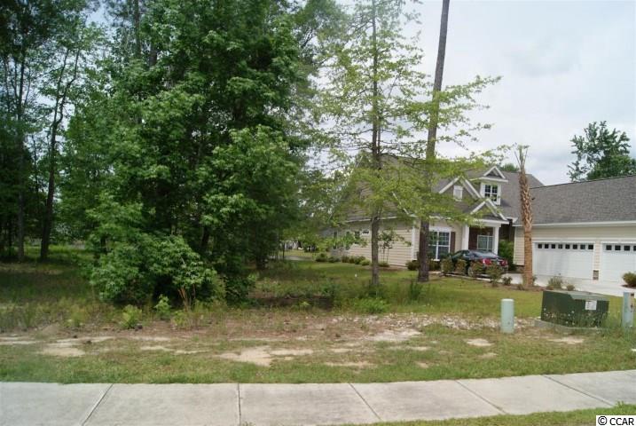 Lot 459 Chamberlin Road Myrtle Beach, SC 29588 - Photo 12 of 17 Gallery Image 12