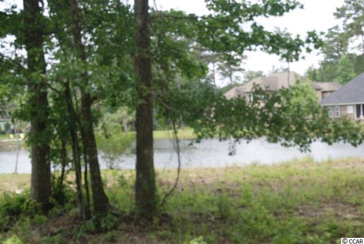 Lot 459 Chamberlin Road Myrtle Beach, SC 29588 - Photo 13 of 17 Gallery Image 13
