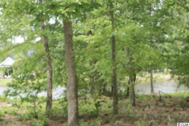 Lot 459 Chamberlin Road Myrtle Beach, SC 29588 - Photo 14 of 17 Gallery Image 14