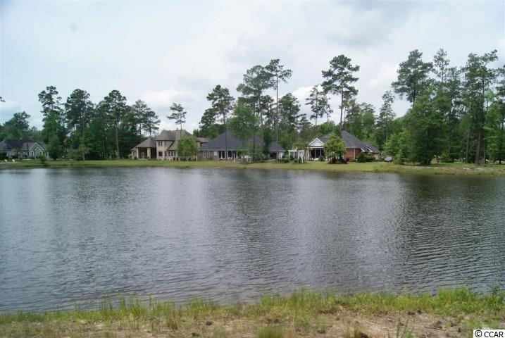 Lot 459 Chamberlin Road Myrtle Beach, SC 29588 - Photo 16 of 17 Gallery Image 16