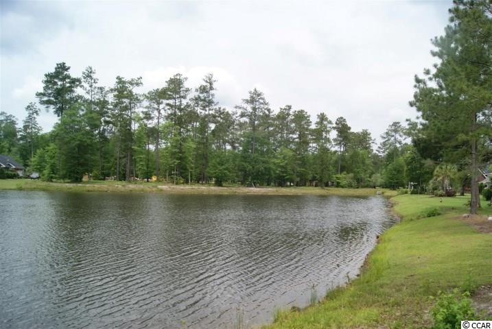 Lot 459 Chamberlin Road Myrtle Beach, SC 29588 - Photo 17 of 17 Gallery Image 17