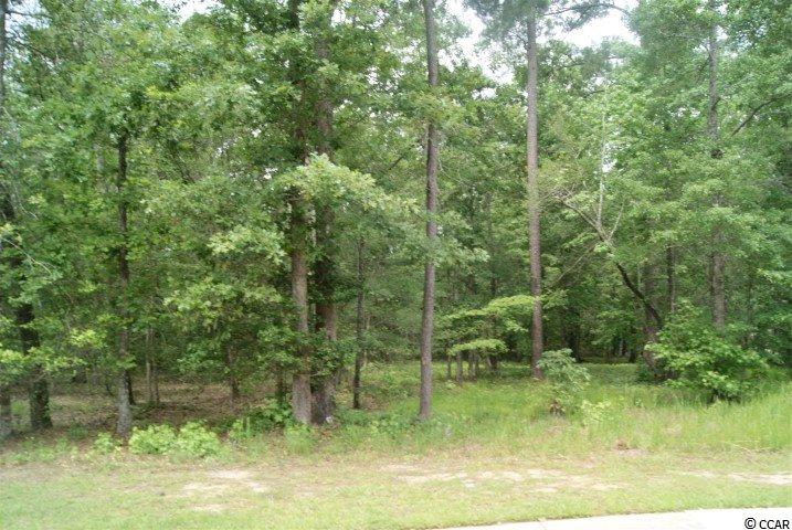 Lot 459 Chamberlin Road Myrtle Beach, SC 29588 - Photo 3 of 17 Gallery Image 3