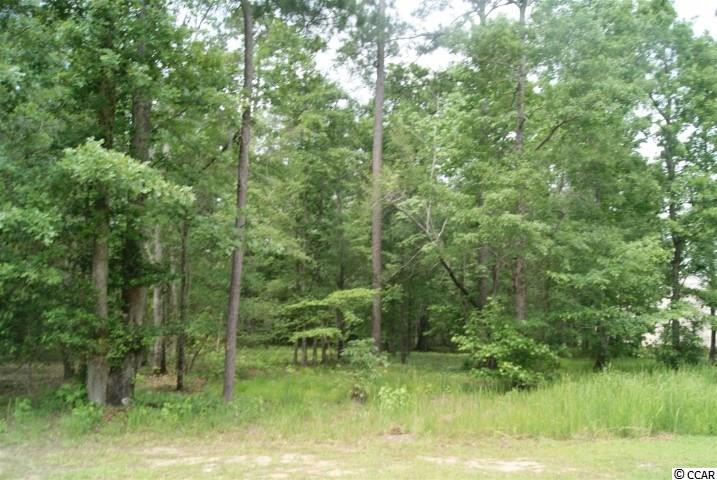 Lot 459 Chamberlin Road Myrtle Beach, SC 29588 - Photo 4 of 17 Gallery Image 4