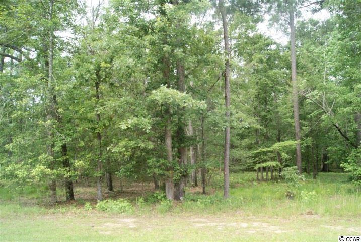 Lot 459 Chamberlin Road Myrtle Beach, SC 29588 - Photo 5 of 17 Gallery Image 5