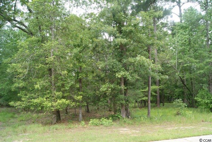 Lot 459 Chamberlin Road Myrtle Beach, SC 29588 - Photo 6 of 17 Gallery Image 6