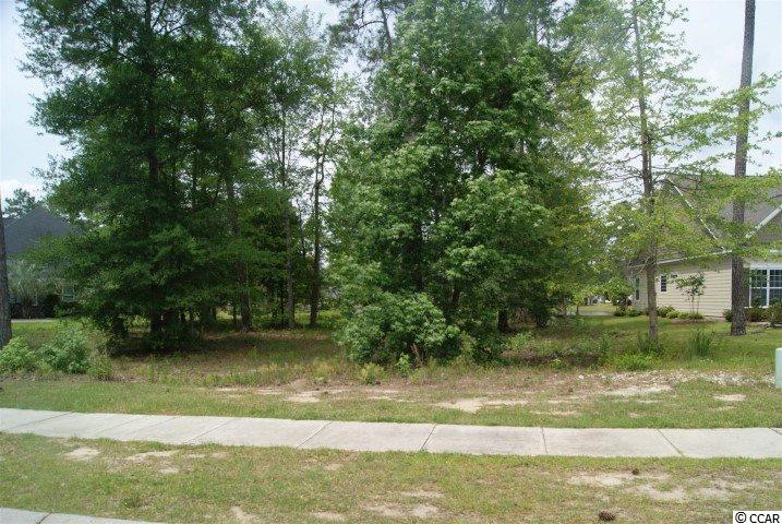 Lot 459 Chamberlin Road Myrtle Beach, SC 29588 - Photo 7 of 17 Gallery Image 7