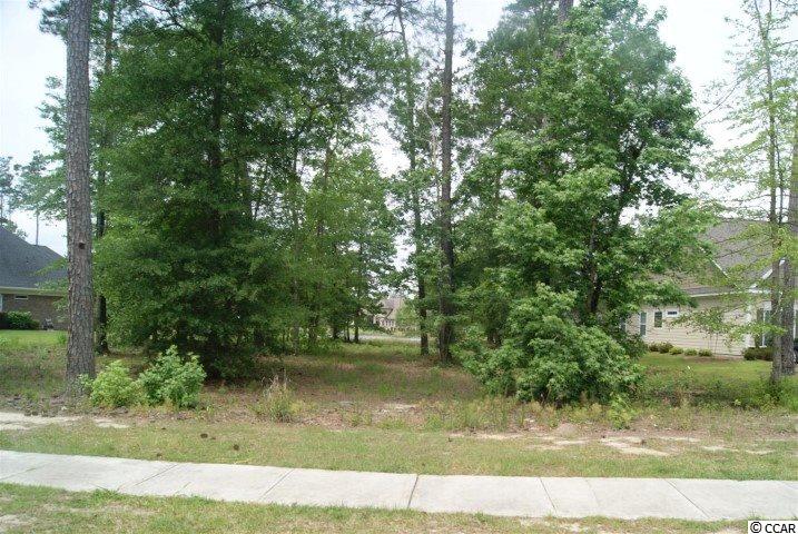 Lot 459 Chamberlin Road Myrtle Beach, SC 29588 - Photo 8 of 17 Gallery Image 8