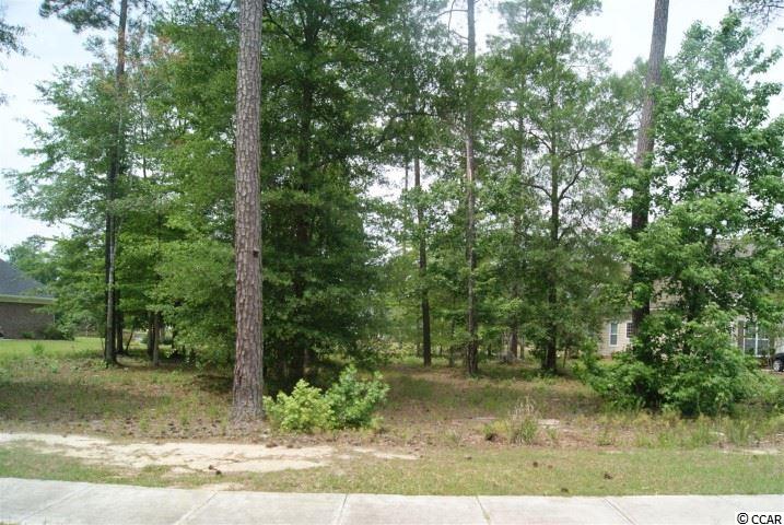 Lot 459 Chamberlin Road Myrtle Beach, SC 29588 - Photo 9 of 17 Gallery Image 9