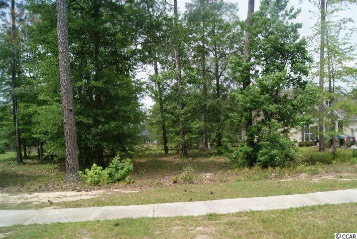 Lot 459 Chamberlin Road Myrtle Beach, SC 29588 - Photo 10 of 17 Gallery Image 10