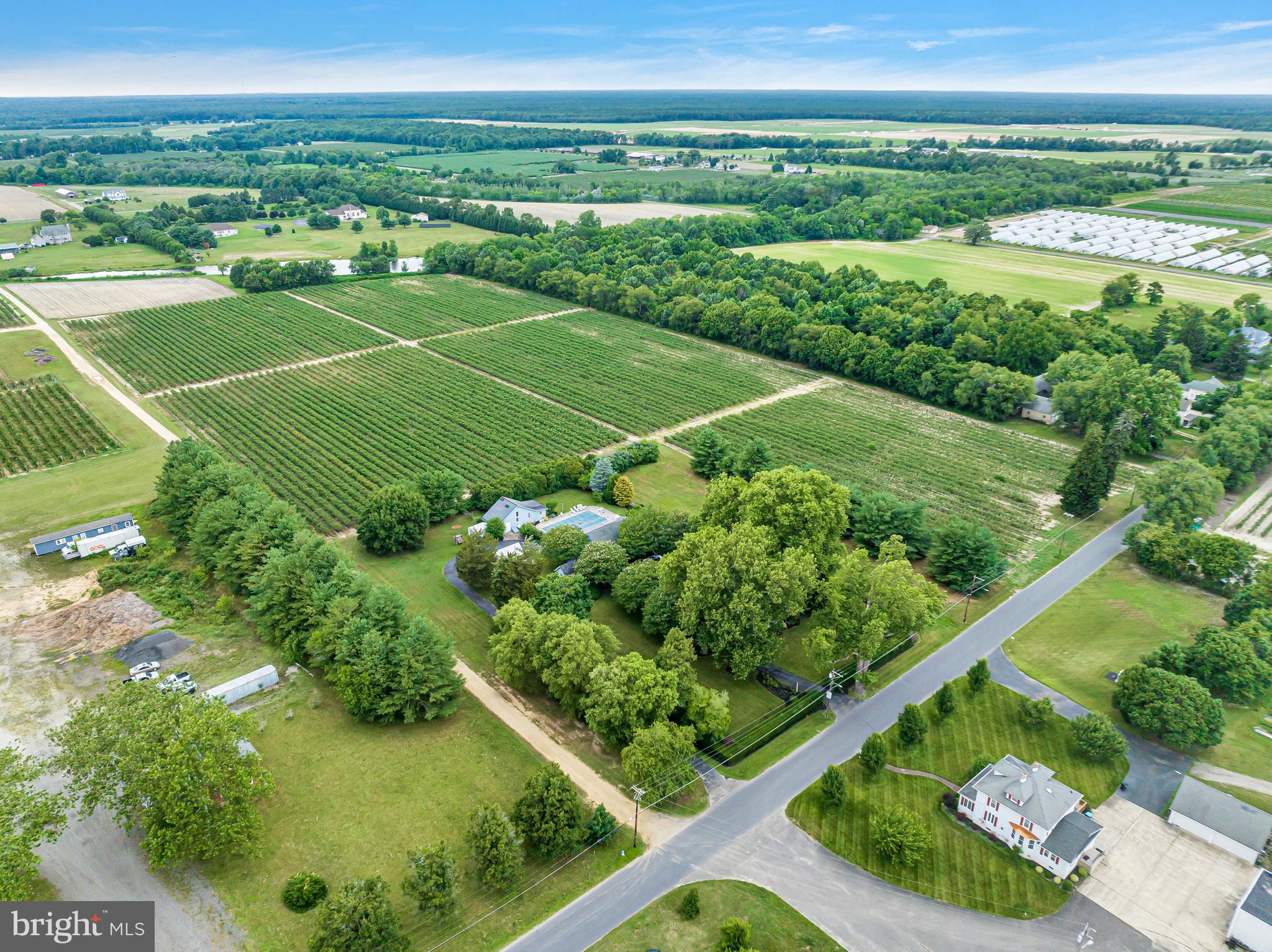 235 Pine Road Hammonton, NJ 08037 - Photo 5 of 67