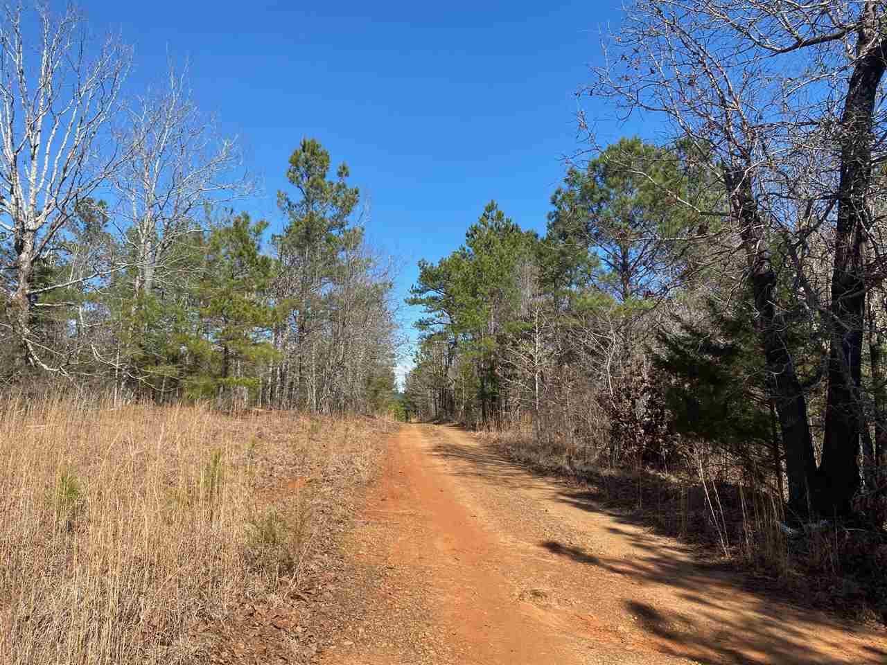0 Johnson 2 Road Ackerman, MS 39735 - Photo 2 of 11 Photo 2
