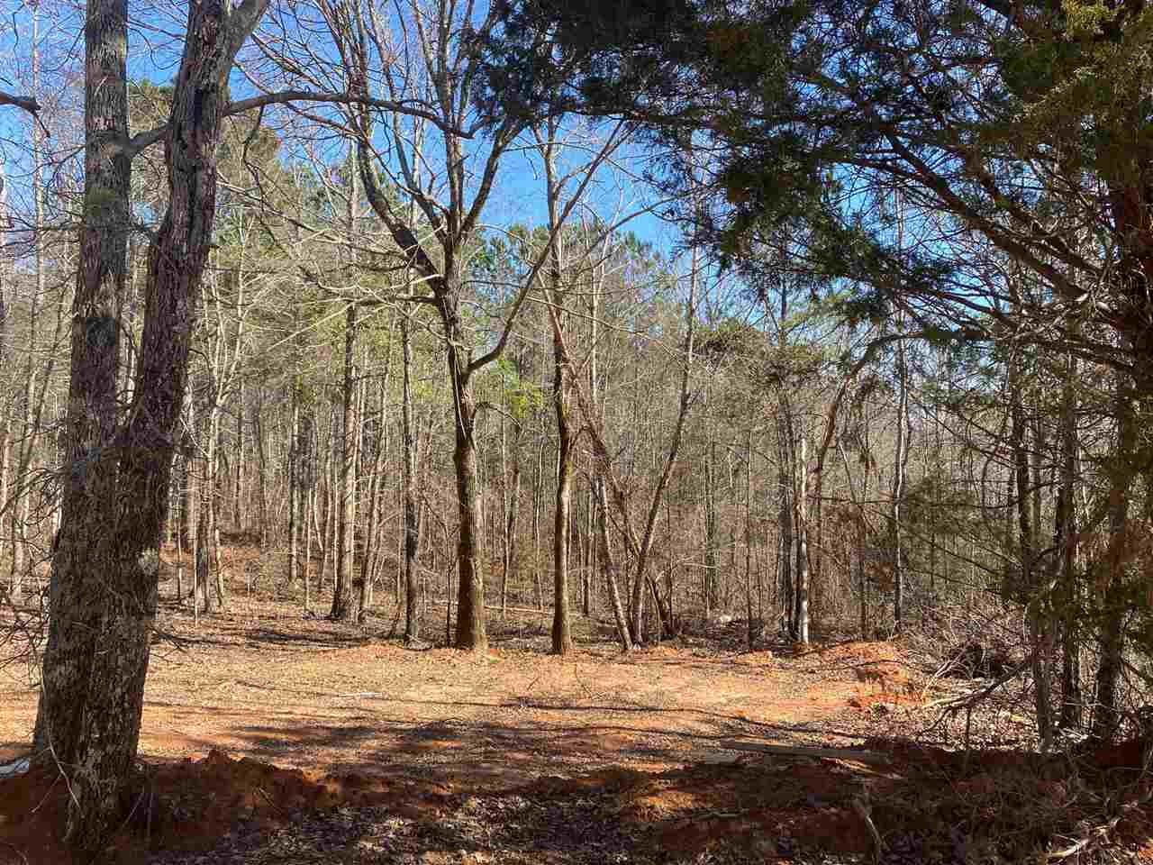 0 Johnson 2 Road Ackerman, MS 39735 - Photo 3 of 11 Photo 3